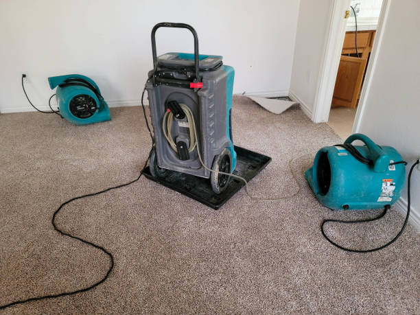 Best Water damage cleanup near me  in Great Bend, NY