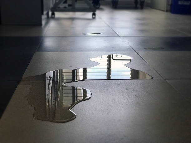 Best 24/7 water damage repair  in Great Bend, NY