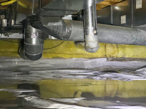 Best Basement water damage restoration  in Great Bend, NY
