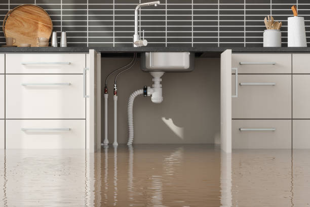 Best Water damage repair service  in Great Bend, NY