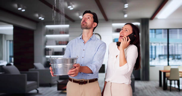 Best Local water damage restoration  in Great Bend, NY